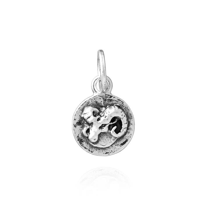 Charm Ariete Zodiaco